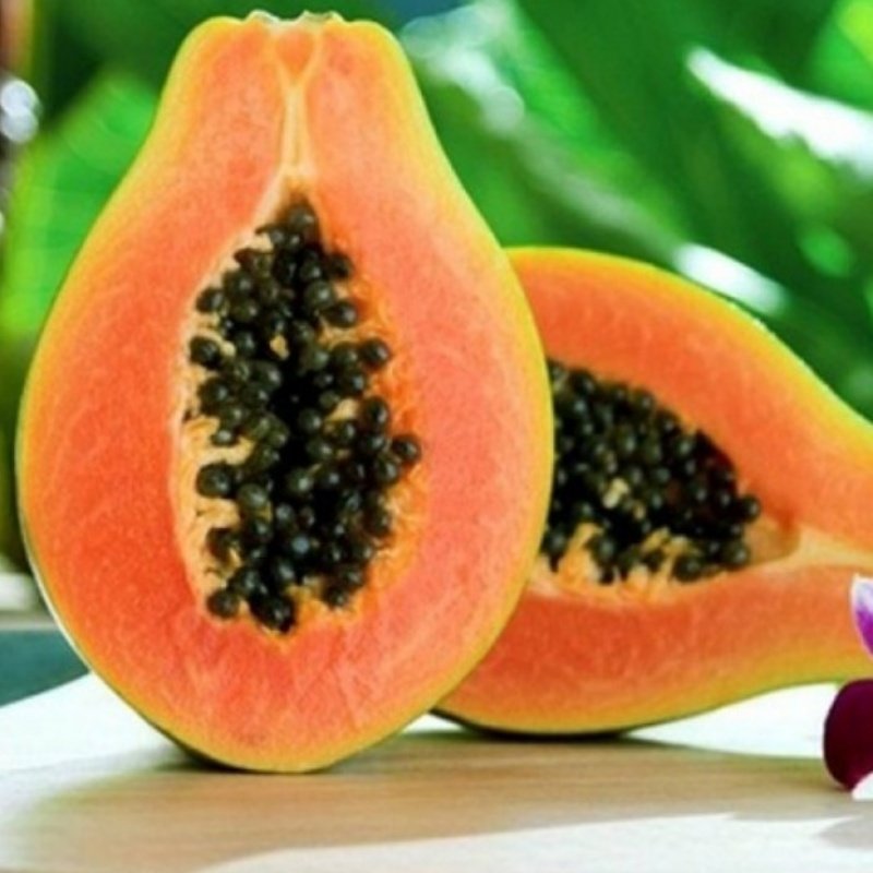 Papaya(Ağaç Kavunu) Tohumu (3 Tohum)