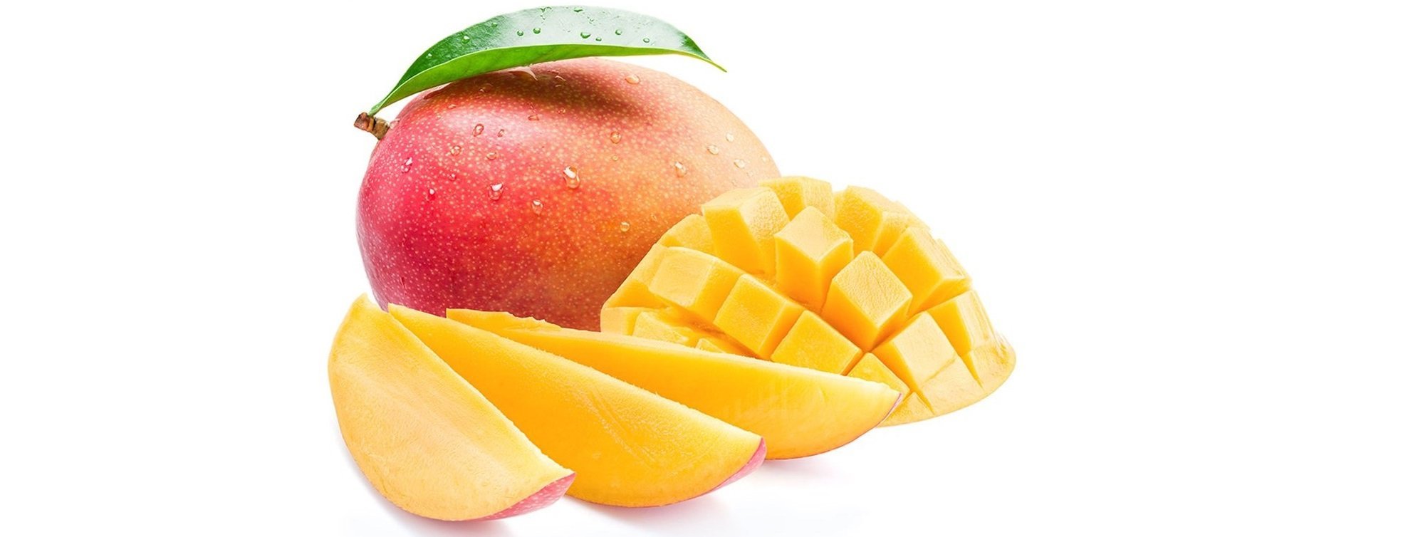 saksıda mango ağacı