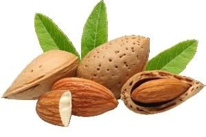 Badem Ağacı Arası Kaç Metre Ara İle Dikilir?