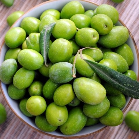 Tüplü Manzalina Zeytin Fidanı (20-40 CM )