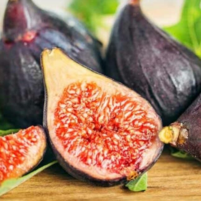 Seneye Meyve Verir Durumda Soğuklara Dayanılı Ficus Carica Ronde de Bordeaux İncir Fidanı Kendine Verimli(Kopya)