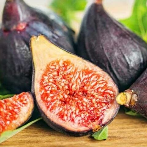 Seneye Meyve Verir Durumda Soğuklara Dayanılı Ficus Carica Ronde de Bordeaux İncir Fidanı Kendine Verimli(Kopya)