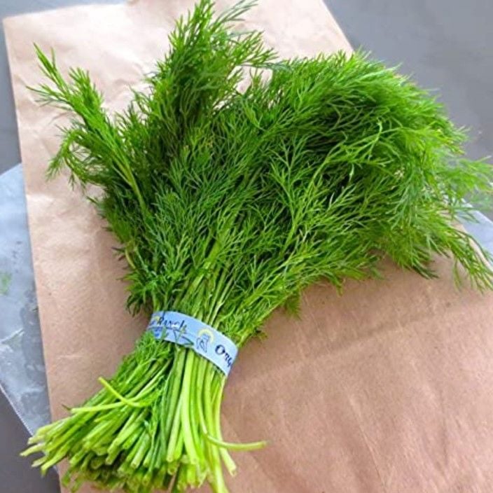 Aromatik Sofralık Soğuğa Dayanıklı Dere Otu Fidesi (5 adet)