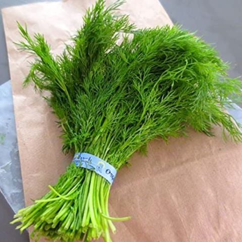 Aromatik Sofralık Soğuğa Dayanıklı Dere Otu Fidesi (5 adet)