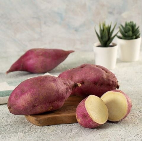 Papas Red Heart Kırmızı Tatlı Patates Fidesi(10 Adet)