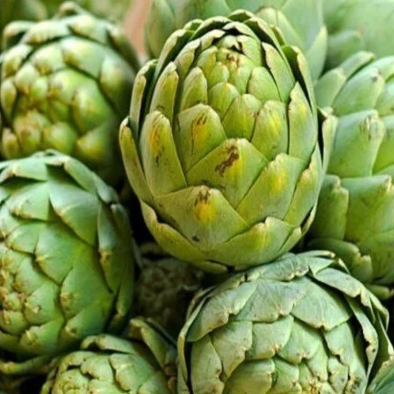 Geleneksel Doğal Enginar Fidesi  (10 adet)