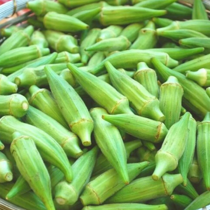 Anadolu Sultani Bamya Fidesi (5 adet)