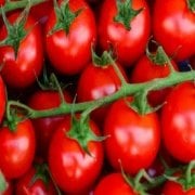 Doğal Red Cherry Large Domates Tohumu(20 adet)