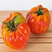 Doğal Striped German Domates Tohumu(20 adet)