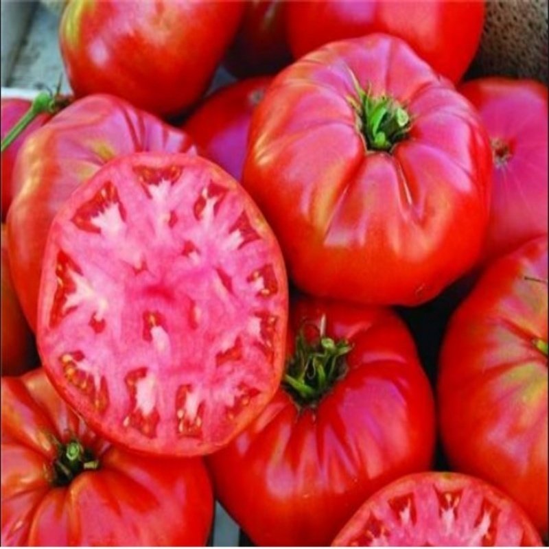 Doğal Marglobe Supreme Domates Tohumu(20 adet)