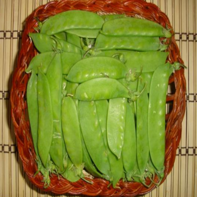 Geleneksel Yaprak Bezelye Fidesi (5 adet)