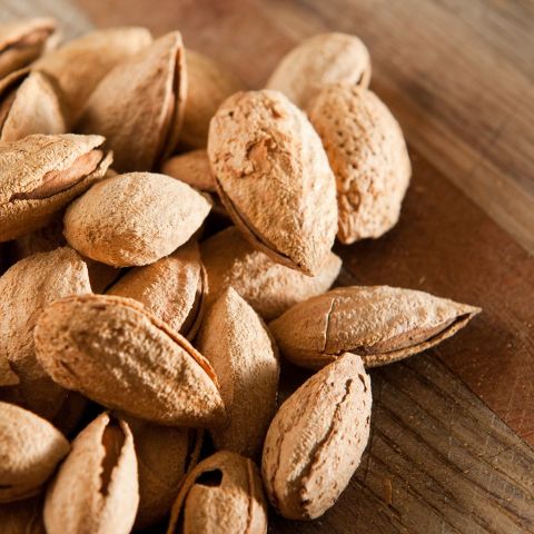 Tüplü Yarı Bodur Amerikan Nonpareil Elle Kırılan Badem Fidanı