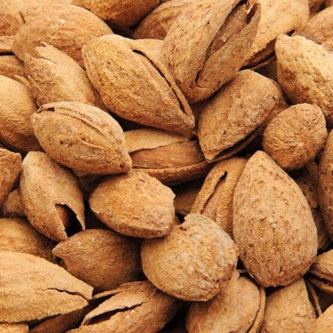 Tüplü Yarı Bodur Amerikan Nonpareil Elle Kırılan Badem Fidanı