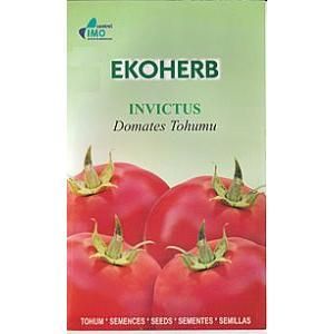 Organik  INVICTUS Domates Tohumu(5 gram)