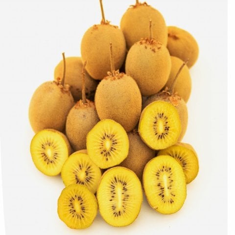 Tüplü Gold Kivi Fidanı (1Dişi+1 Erkek) (5-10 CM)