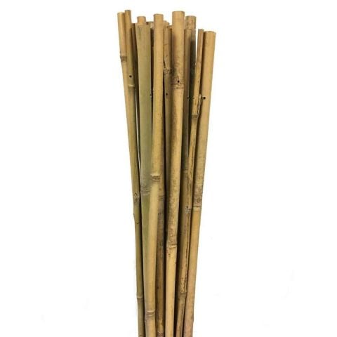 Fidan Dikim Destek Çubuğu (70-75 cm-) (100 Adet)