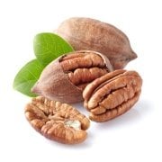Tüplü Sahil Pikan Cevizi Fidanı