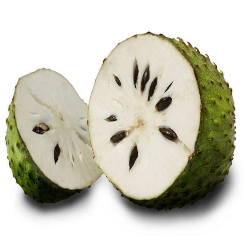 Nadir Tropikal Soursop Tohumu(5 adet)