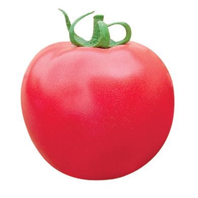 Doğal Pembe Domates Tohumu(20 adet)