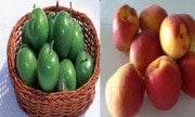 Al Kayısı&Papaz Eriği Aşılı Çift Aşılı Meyve Fidanı