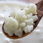 Kefir Mayası 1 Litre Süt İçin