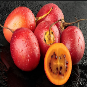 Mini Tamarillo Tohumu (20 Tohum)