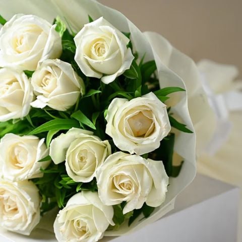 Tüplü  Kordes Rosen White Masquerade Yediveren Gül Fidanı