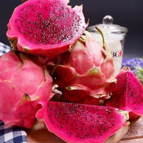 Tüplü Kırmızı Renkli Pitaya Ejder Meyvesi Fidanı