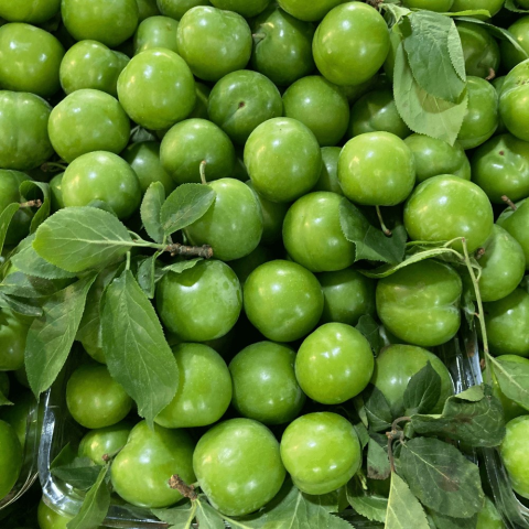 Açık Kök Erkenci Yeşil Cin Erik Fidanı