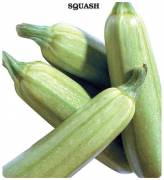 Beyaz Sakız Kabak Tohumu (500 gram)