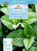 Miracle Spearmint Nane Tohumu (200 tohum)