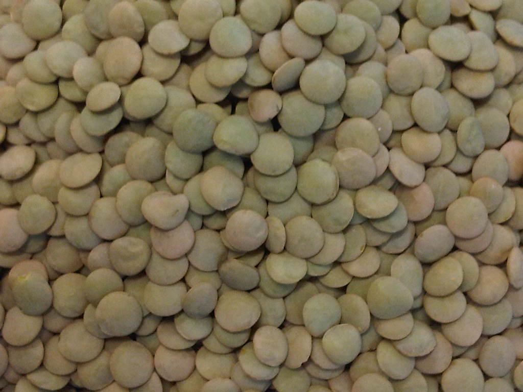 Doğal Yeşil Mercimek Tohumu (20 kG)