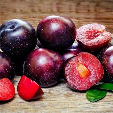 Tüplü İçi Kırmızı  Yemesi Mükemmel Black Splendor Japon Erik Fidanı