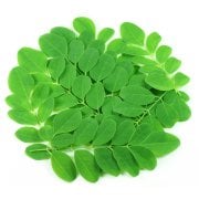 Tüplü (Moringa Oleifera)‏ Mucize Moringa Ağacı Fidanı (20-40 cm)