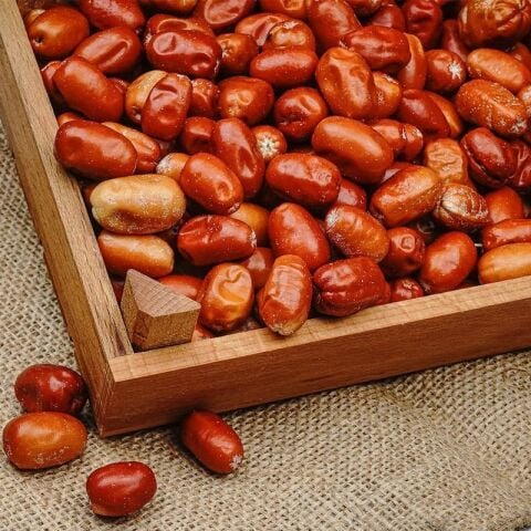 Tüplü Soğuklara Dayanıklı İri Meyveli Sultan İğde Fidanı