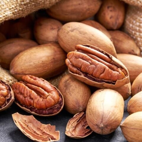 Aşılı Mahan Çok Yaşlı Sahil Pikan Cevizi Fidanı(100-150 CM) Seneye Meyve Verebilir