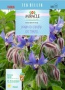 Miracle Hodan Otu Tohumu (50 tohum)