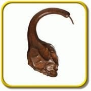 Scorpion Süs Kabağı Fidesi (5 adet)