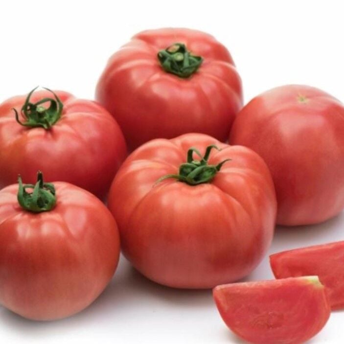 Yüksek Verimli İri Beef  Songül Sırık Pembe Domates Fidesi (5 adet)