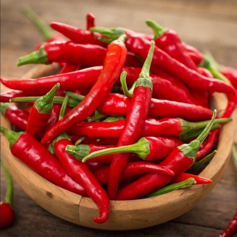 Zehir Gibi Acısı Olan Acı Kırmızı Şili Biber Fidesi (4 adet)