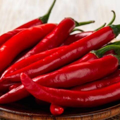 Zehir Gibi Acısı Olan Acı Kırmızı Şili Biber Fidesi (4 adet)