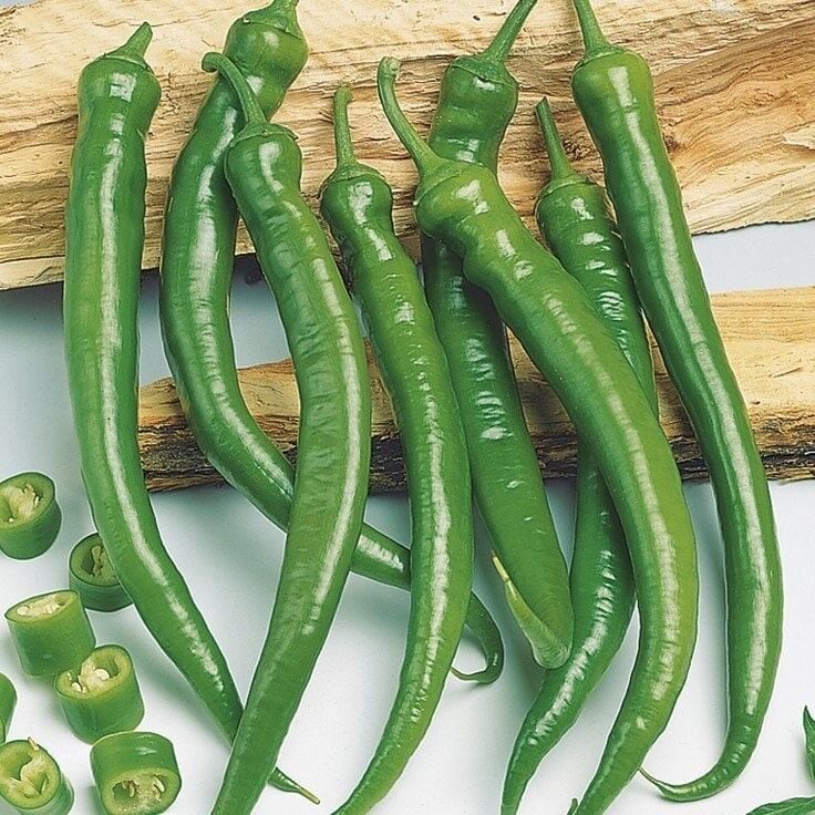 Geleneksel Tatlı Antalya Etli Demre Biber Fidesi(5 Adet)