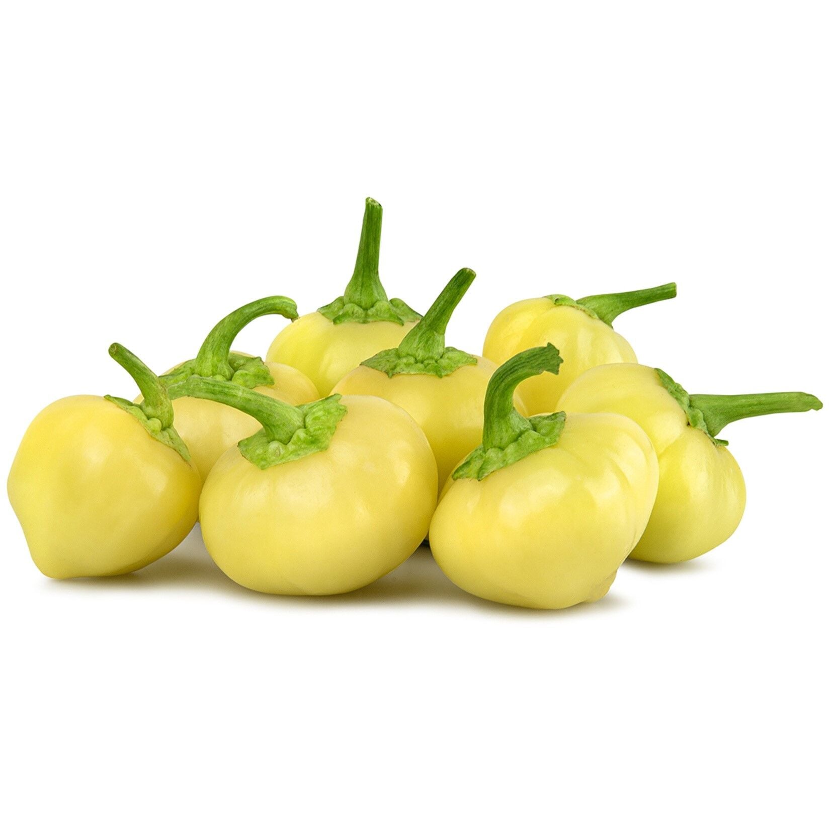 Geleneksel Hafif Acı Top Biber Turşuluk Biber Fidesi (5 adet)