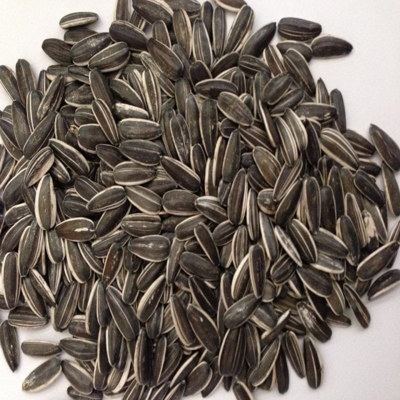 Doğal Siyah Çerezlik Çitlemelik  Ayçiçeği Çekirdek Tohumu (2,5 KG)