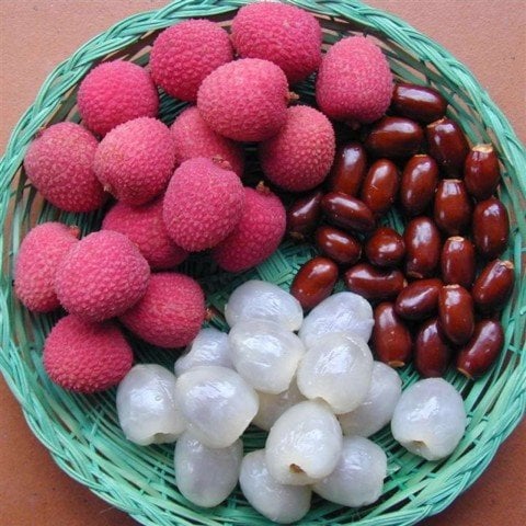 Tüplü Liçi Fidanı