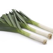 Pırasa Tohumu (İnegöl) (500 gram)