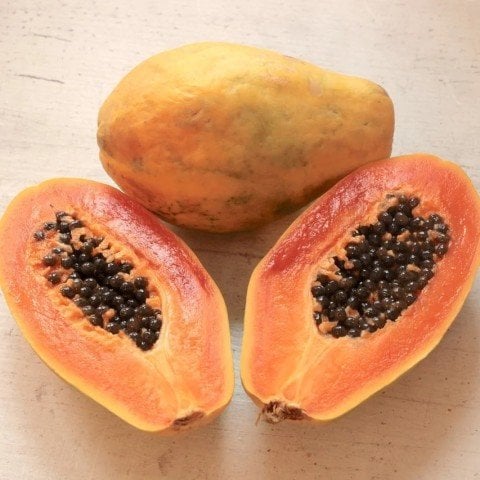Tüplü Papaya(Ağaç Kavunu) Fidanı (80-120 cm)