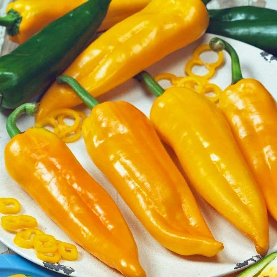 Nadir Ata Tohumları Corno Di Toro Giallo Sarı İtalyan Kapya Biber Tohumu (10 tohum)