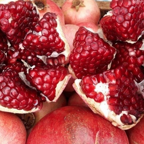 Tüplü Çok Erkenci Özel Göksu Yıldız Narı Fidanı