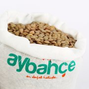 Yeşil Mercimek 1000 Gr.